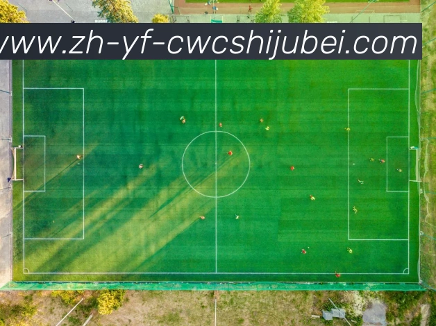 世界杯买球平台生态图