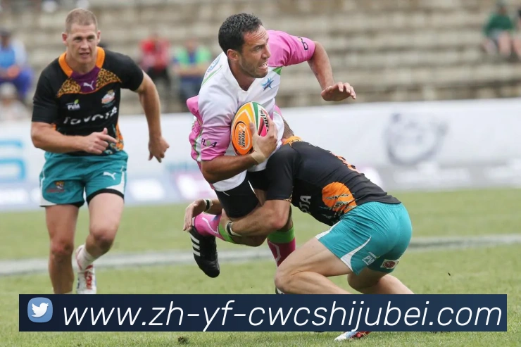 世界杯买球APP 封面图