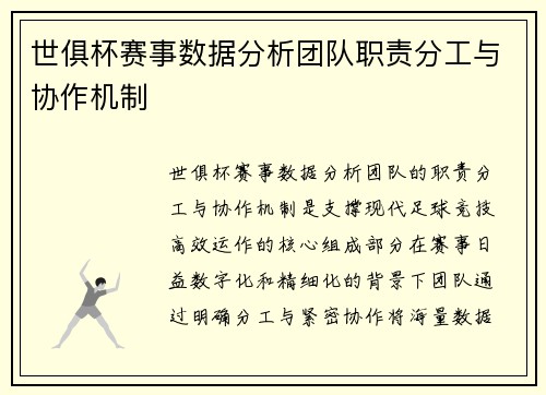 世俱杯赛事数据分析团队职责分工与协作机制
